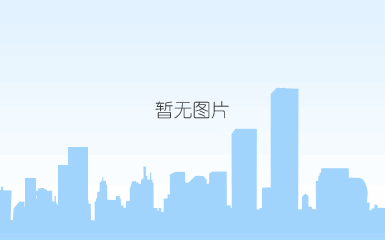 资料整理中...